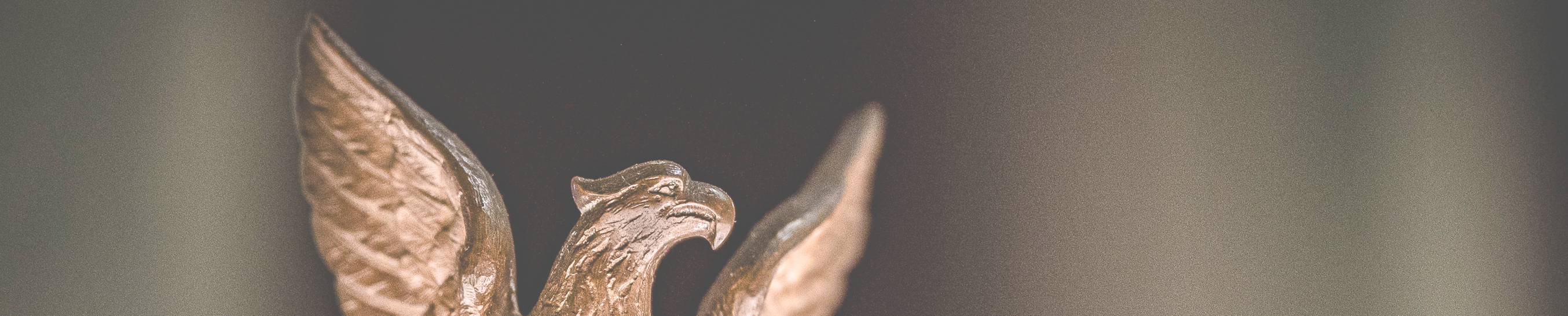 Image of an eagle on a flag pole
